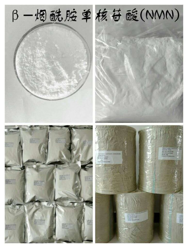 NMN Bulk Powder